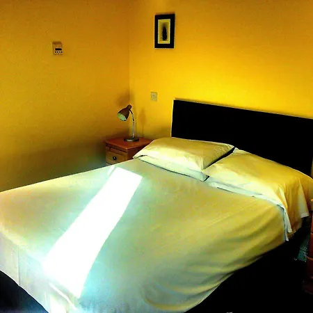 招待所 The Shipwright